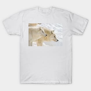 Arctic Wolves T-Shirt